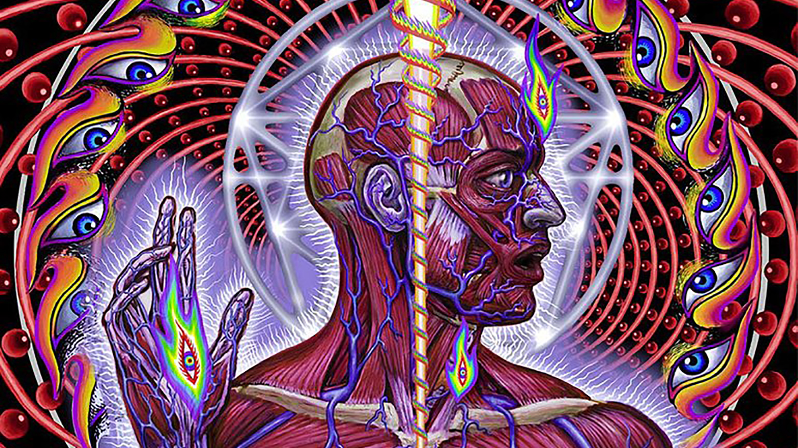 10 Things You Didn't Know About Tool's 'Lateralus
