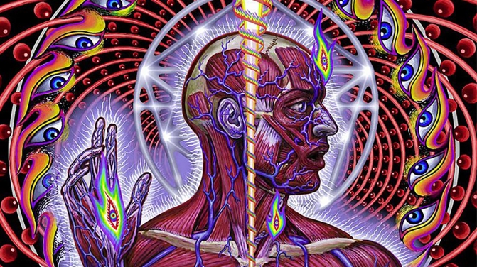 tool lateralus crop
