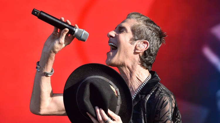 perry farrell porno for pyros 2022 GETTY, Tim Mosenfelder/Getty Images