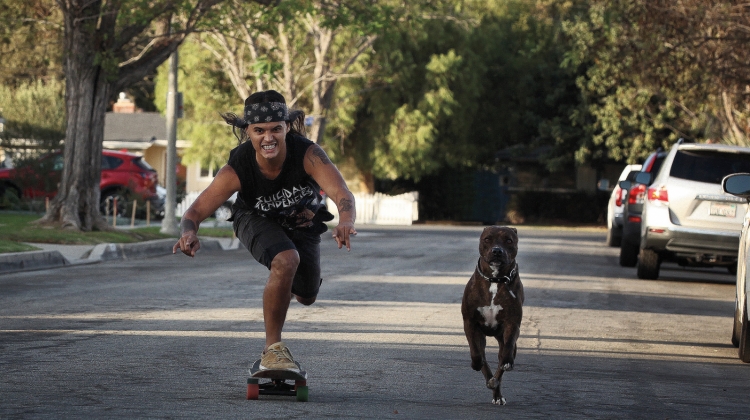 david-eric-hendrix-skate-dog.jpg, Eric Hendrikx