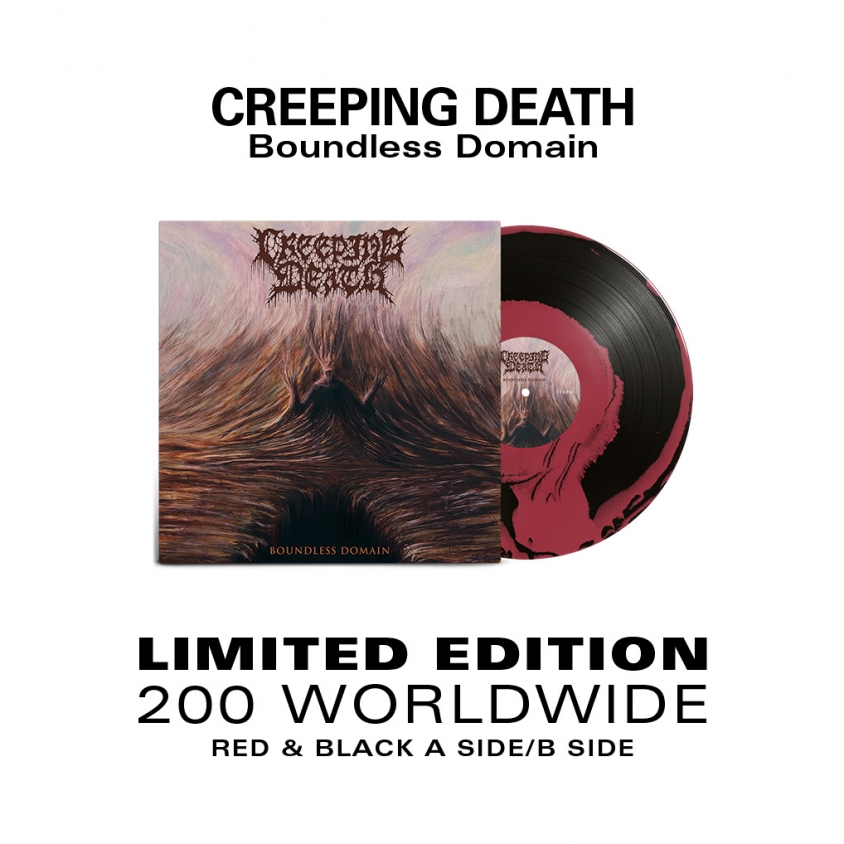 Creeping Death boundless domain vinyl admat 