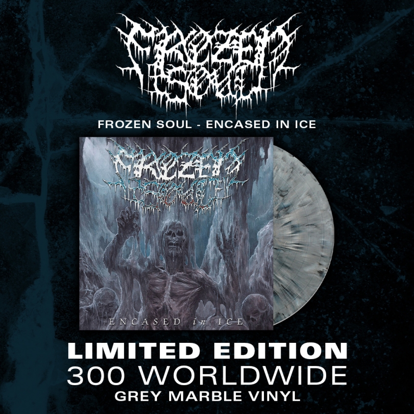 Frozen Soul Encased in Ice vinyl admat